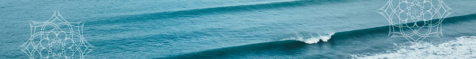 Ocean banner image